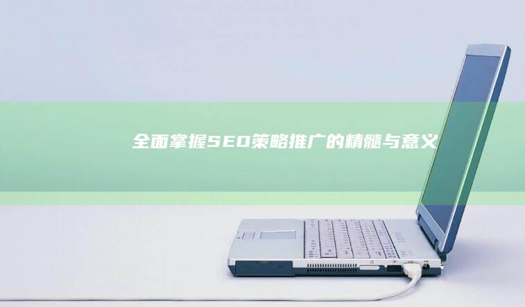 全面掌握SEO策略推广的精髓与意义